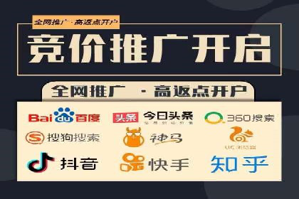 热门充值高返点平台案例分析